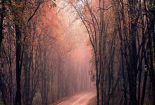 九游：[国际足球]十亿美元 新版世俱杯参赛总奖金数公布.