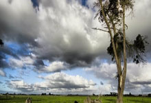 首秀梅开二度！曝奥斯卡归化仍在推进 6月有望入选国足.