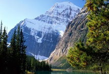 枪手新目标！记者：葡体今夏愿打7折出售约克雷斯，要价7000万欧.